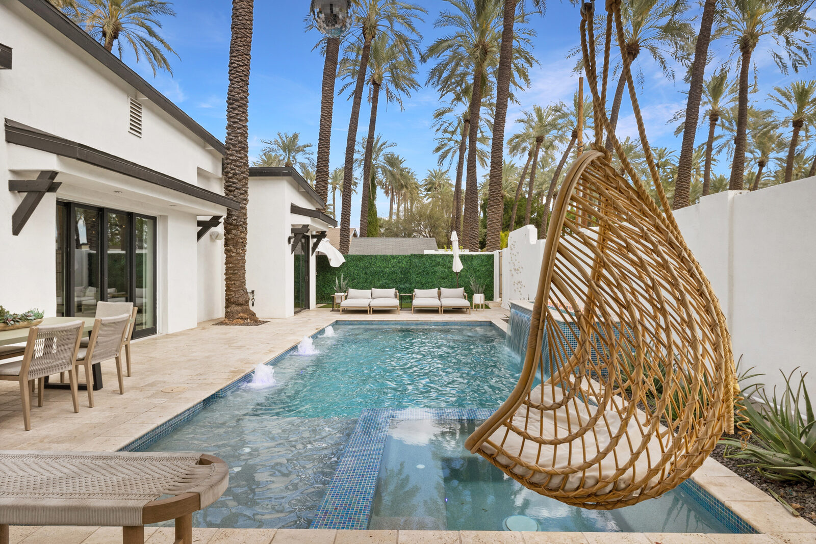 Palmera, photo 6